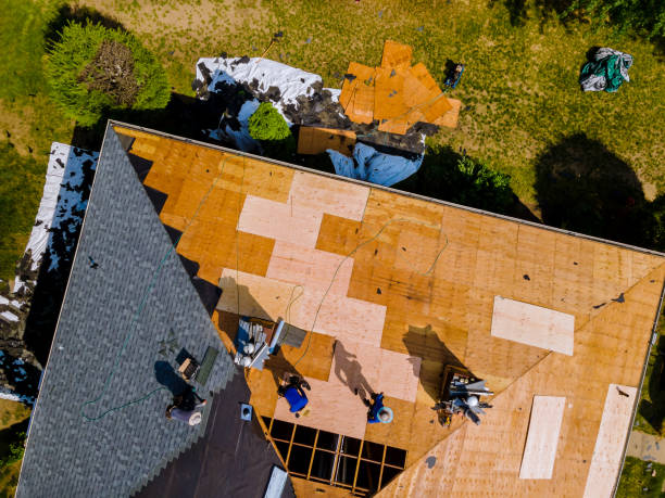 Best Roof Maintenance Services  in Sterling City, TX
