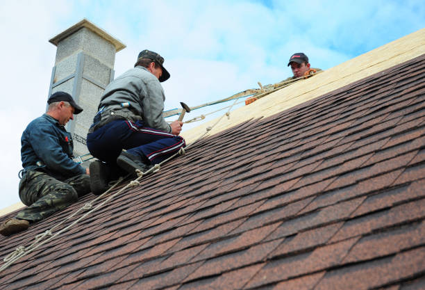 Best Shingle Roofing Installation  in Sterling City, TX